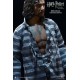 Harry Potter My Favourite Movie Action Figure 1/6 Sirius Black Prisoner Version 30 cm